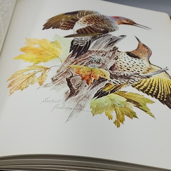 Character Sketches from the Pages of Scripture Illustrated Gothard 1st Edition - Picture 14 of 15